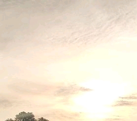 何为自强不息 52bd81680f379225be0976fb18dbcbc324202256.jpg