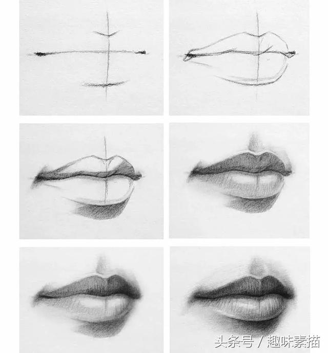 他画了一波素描结构步骤图,太抢手了,6天就收获了上