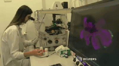 用光操控生物交配,科学家为什么要研究用下半身思考的