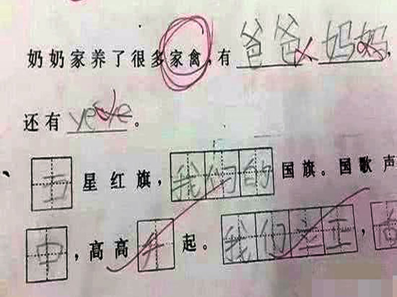 小学生的"零分"试卷,让语文老师哭笑不得