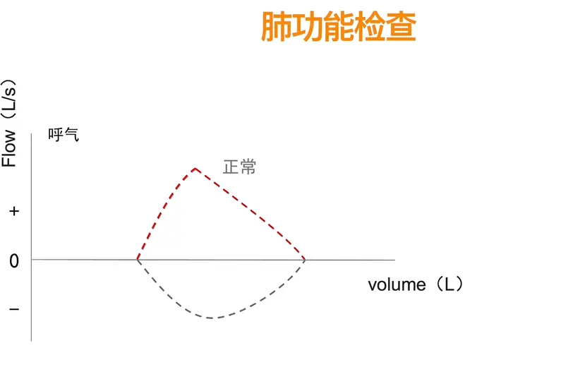 肺功能检查