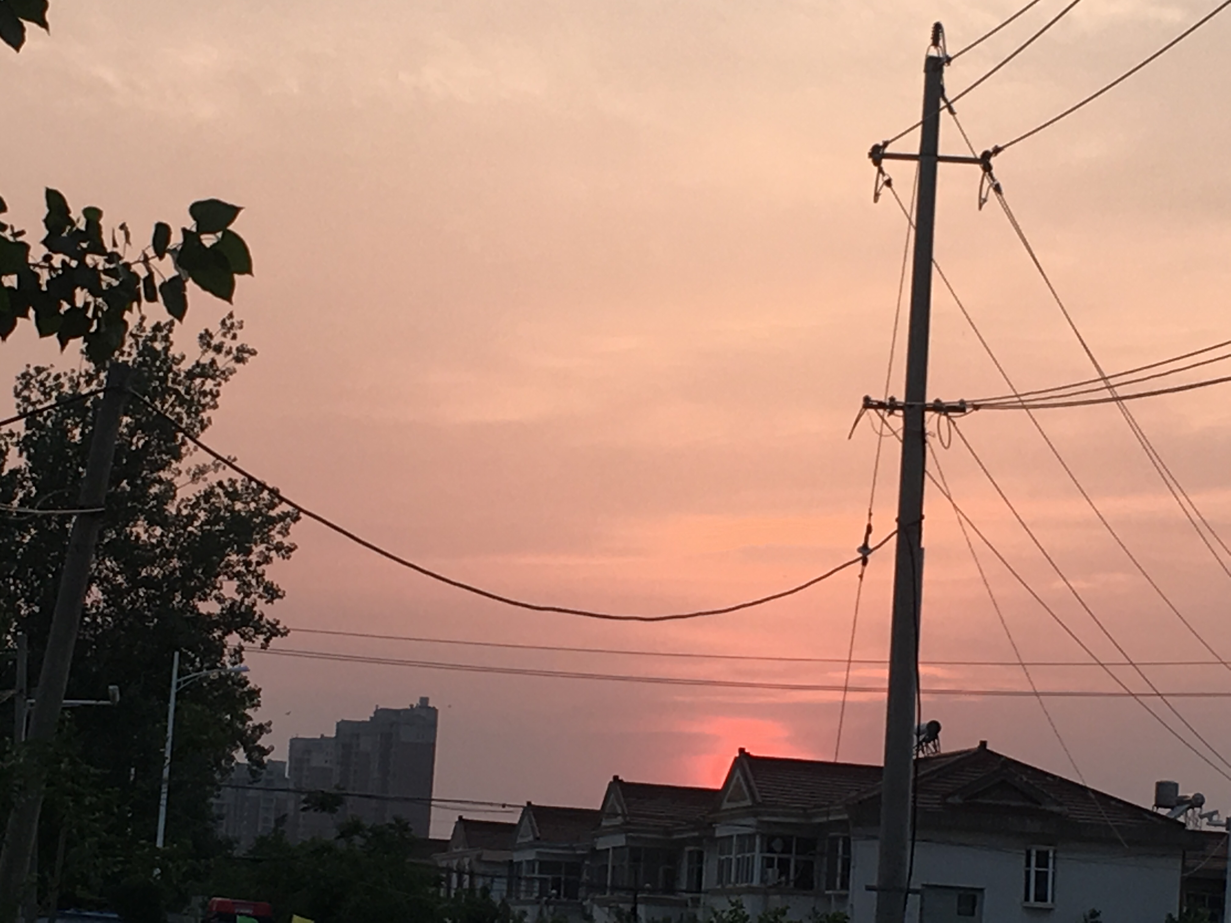 中学生的日常风景照(没有专业相机,都是手机原相机拍摄和调色哦)