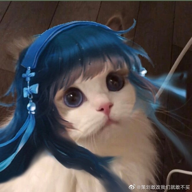 王者荣耀猫猫头像(第十期)
