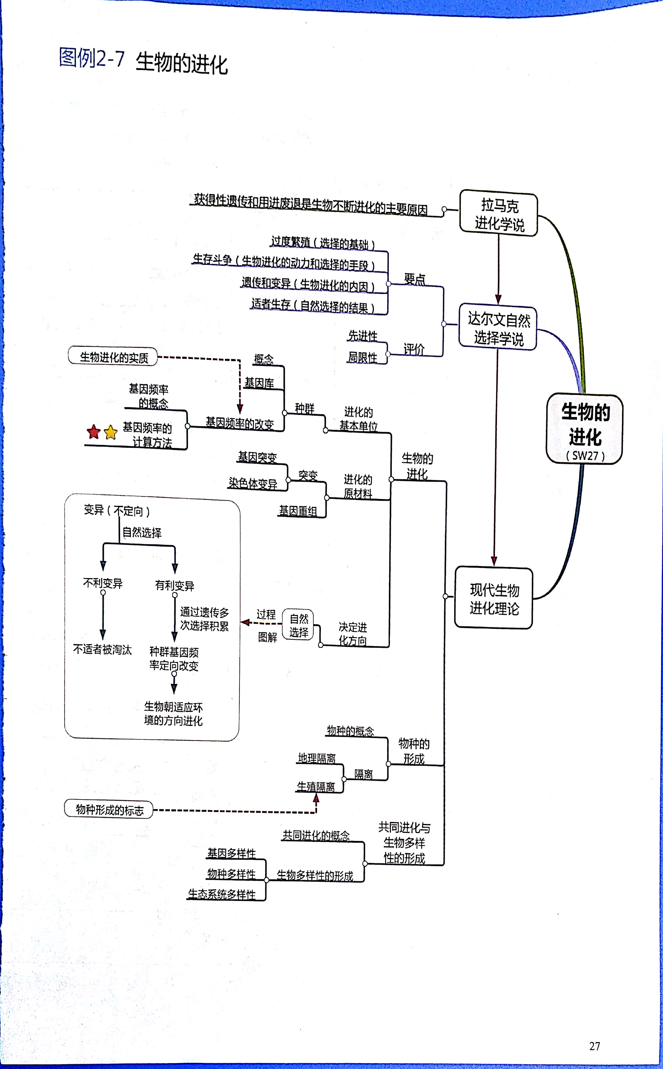 高中生物思维导图