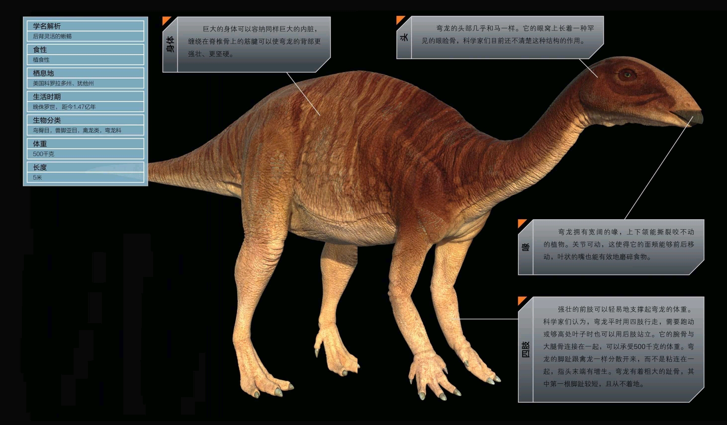 科技 自然 第4章,伟大的生存者 恐龙档案 弯龙(camptosaurus) 发音