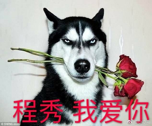 蒋文旭你是想飞上天,与188肩并肩?虽然很渣但是强推,我杀蒋渣我爱蒋渣