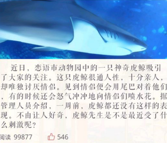 ���������ˣ��纣�������˾��㣿��������Ҫ�ú÷�ʡ��