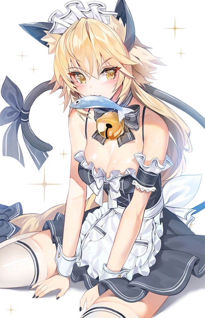 《二次元兽娘大合集.6》