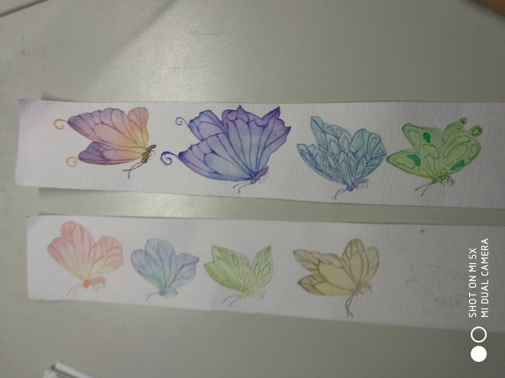 各种配色的蝴蝶