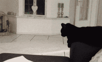 甚至有时候会被你偷窥到这样触目惊心的情景. 可以说是明目张胆了.