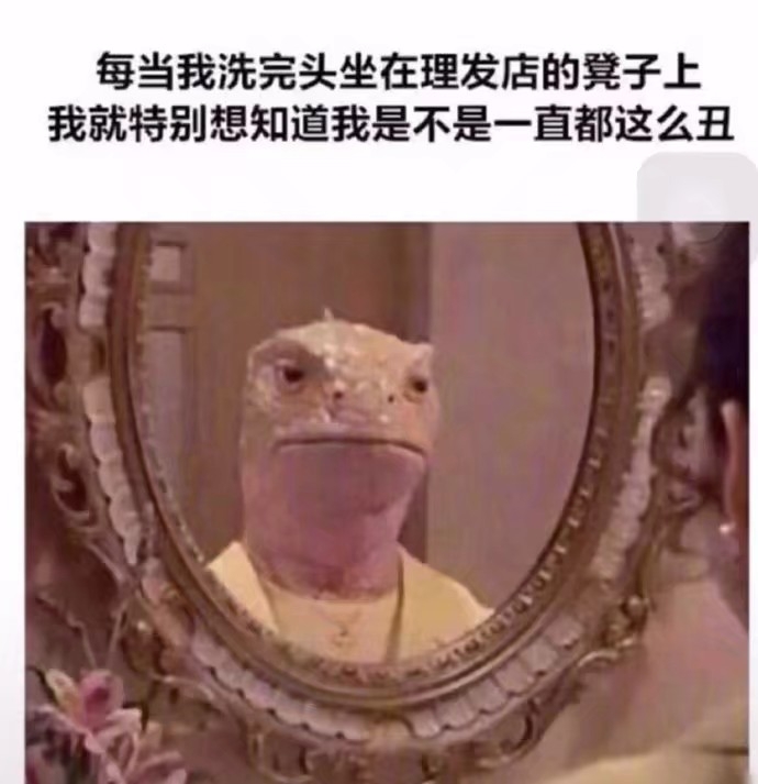 【沙雕日报】当你在视频网站里充了会员后.(第三十一