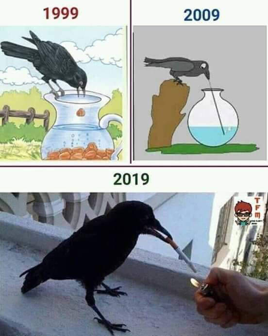 最可怕的5种鲸鱼视频 55c662f875ff3e9bb6470dd4fbf832c40433eef5.jpg