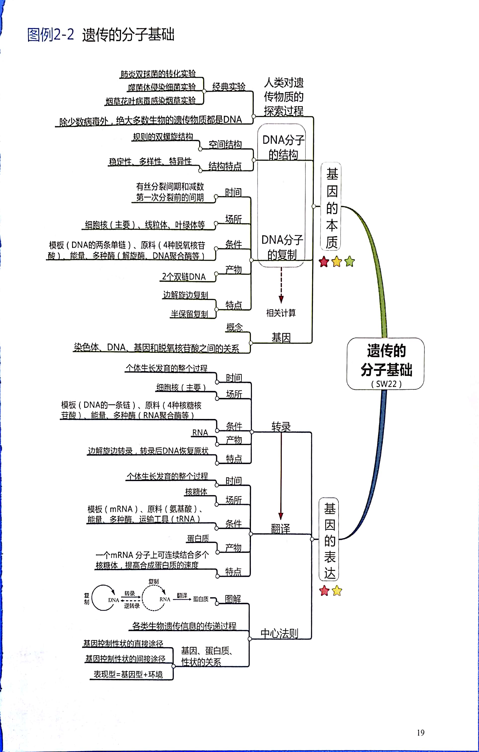 高中生物思维导图