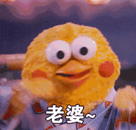 表情包——鹦鹉兄弟2