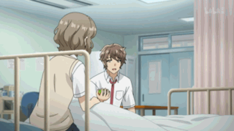 第二卷青春猪头少年不会梦到小恶魔学妹 第三章假情侣