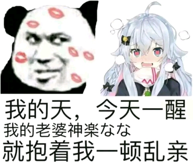 生活 日常 狗妈的表情包(二) 我永远喜欢狗妈!