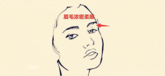 56d5defb7053dfaa2bae8a2a19a814077e090112.jpg