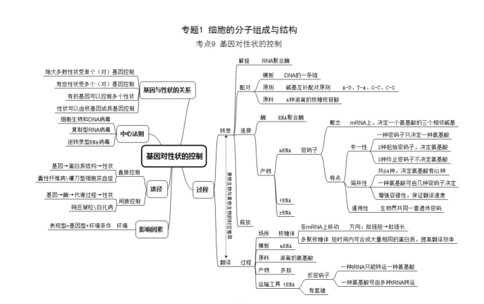 整整75页!高中化学思维导图助你学(考点版)家长转给孩子吧