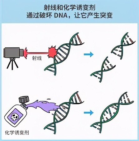 除了钴60还有哪些常见的放射源呢?