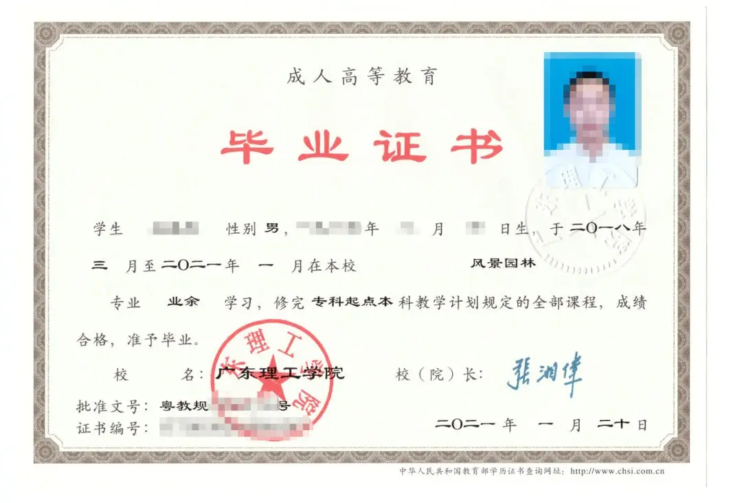 广东理工学院年成人高考【函授】招生专业