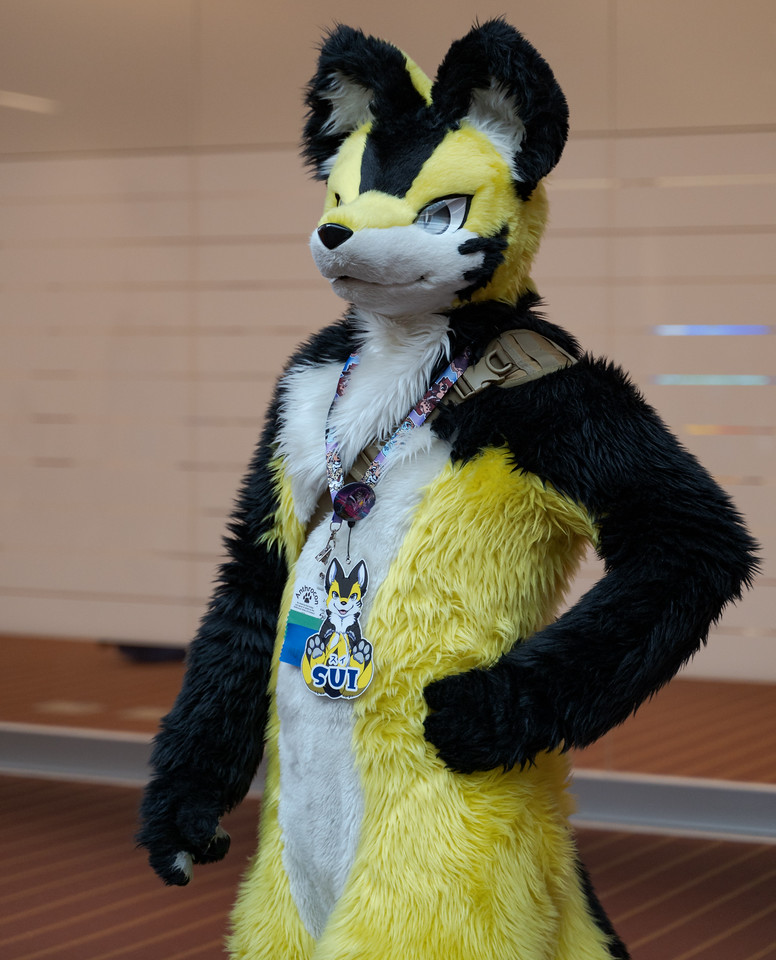 兽装 美系 fursuit furry -- -- --           分享到: 投诉或建议