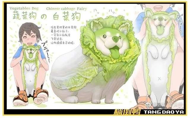"菜狗"就是"白菜狗,是"蔬菜精灵"系列中的一个形象