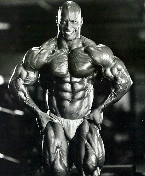 完美先生-肖恩雷