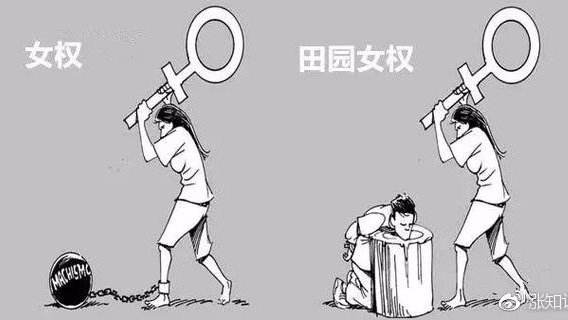 从郎朗结婚到警校招生,田园女权是怎样炼成的?