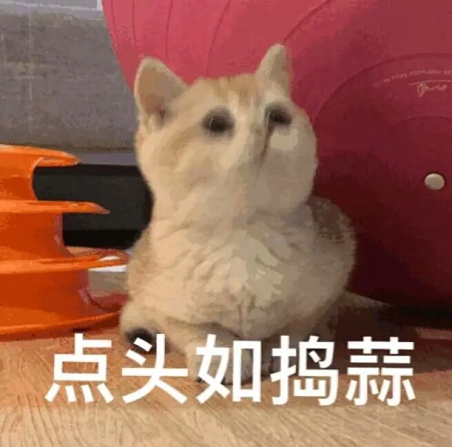 而发愁, 想直接收图的小可爱不用看这些了哦√("