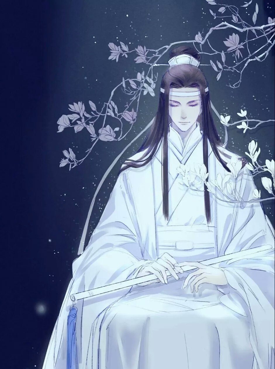 《魔道祖师》美图蓝忘机第一期