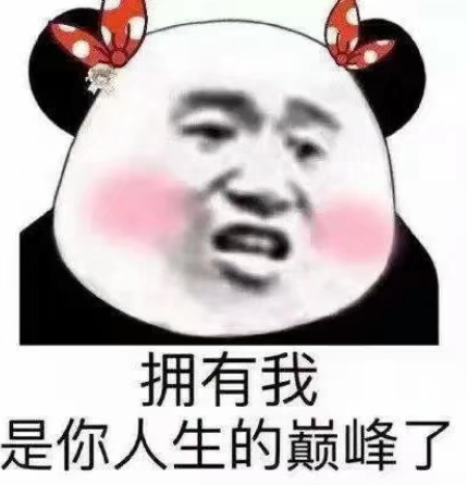 人生巅峰