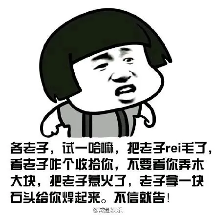 不带脏字的骂人合集（附表情包）