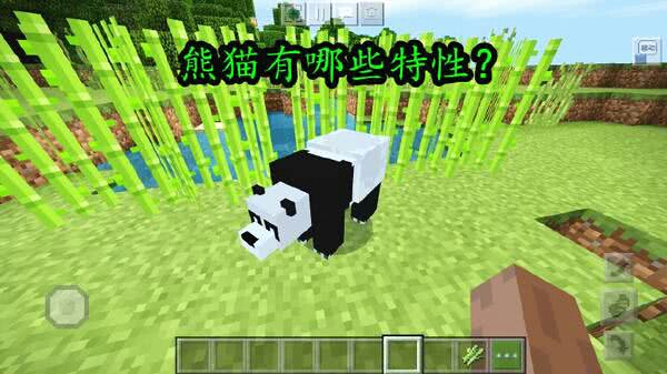 《我的世界》新生物决定啦!熊猫不负众望,竹子也有望加入?