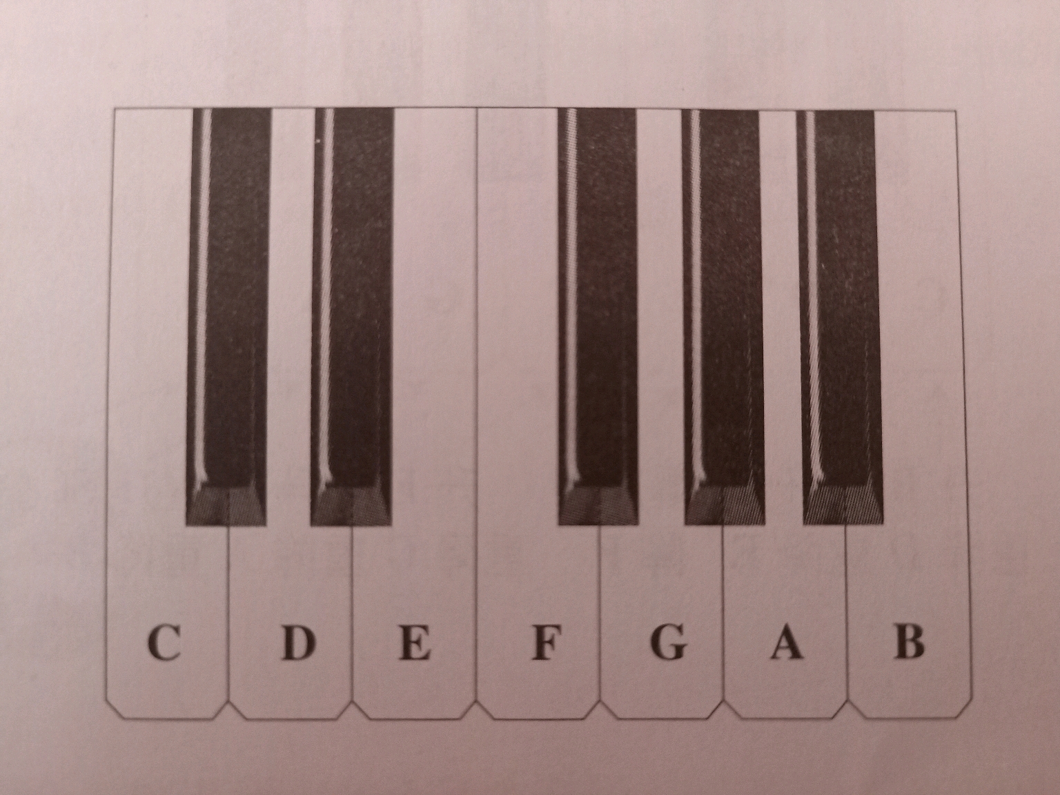 七个白键就是这个音组的基本音