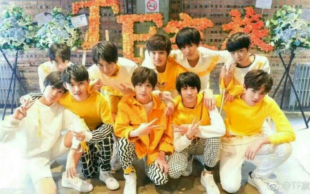 tf家族