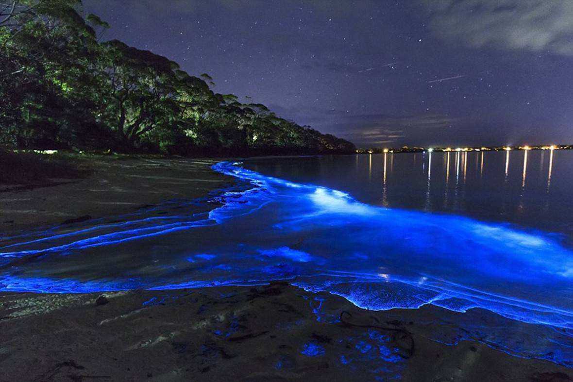 繁星坠入大海葫芦岛现荧光海了解其科学原理后还认为它美吗