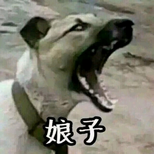 单身狗勿进的情头专栏