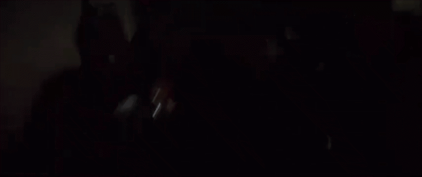 2008蝙蝠侠:黑暗骑士