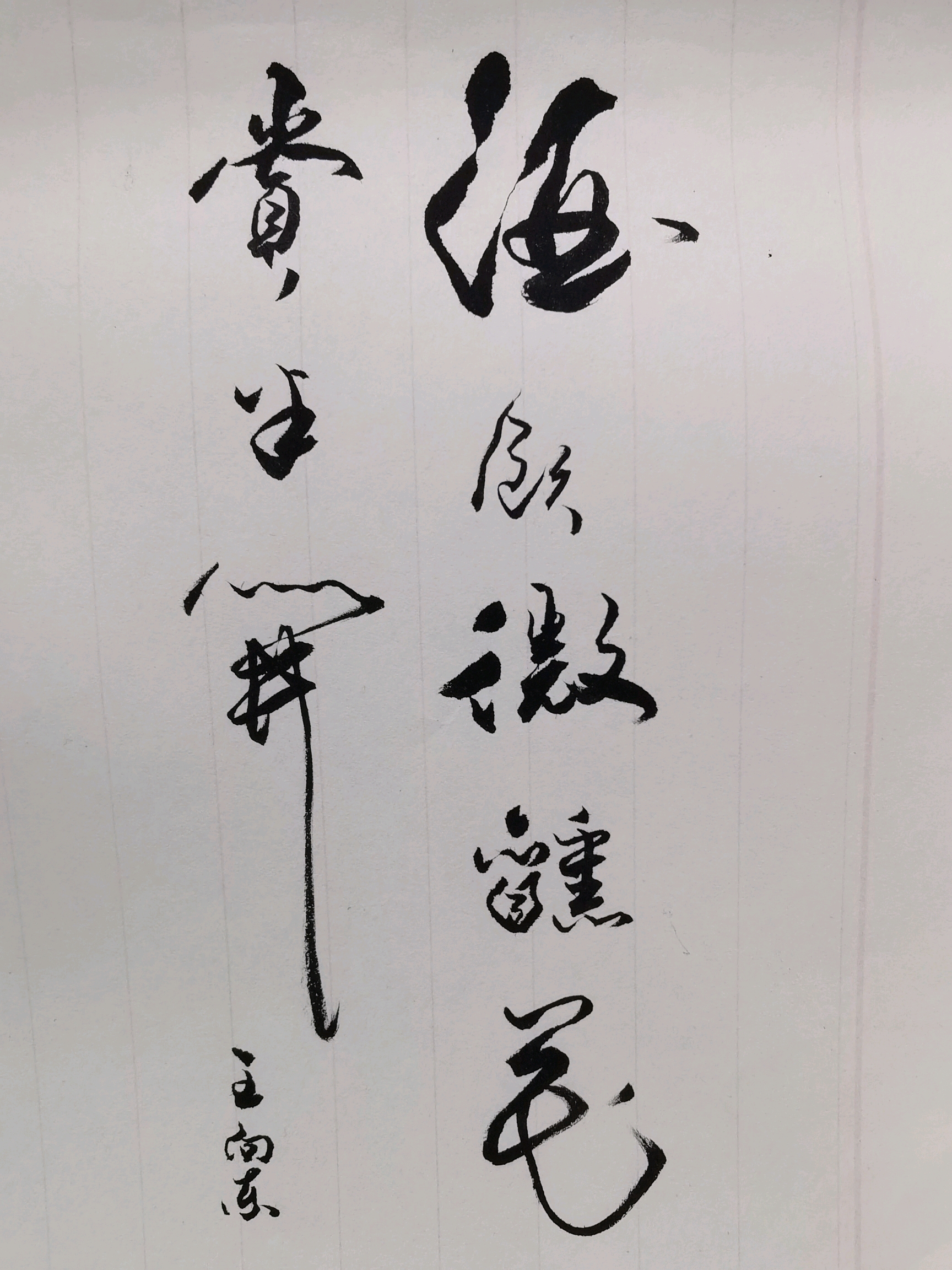 兴趣 绘画 王向东作品 王向东,1978年出生于河南省辉县,爱心书法家