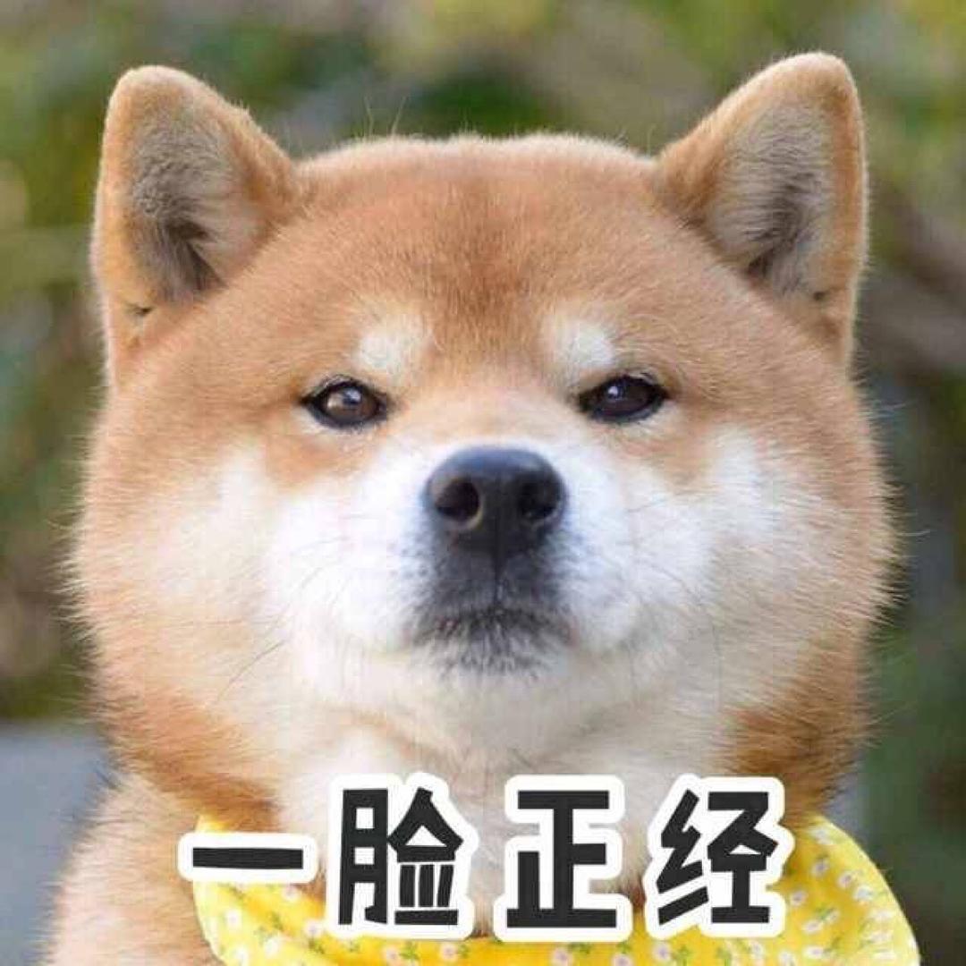 别瞎忙活狗狗补钙要这样