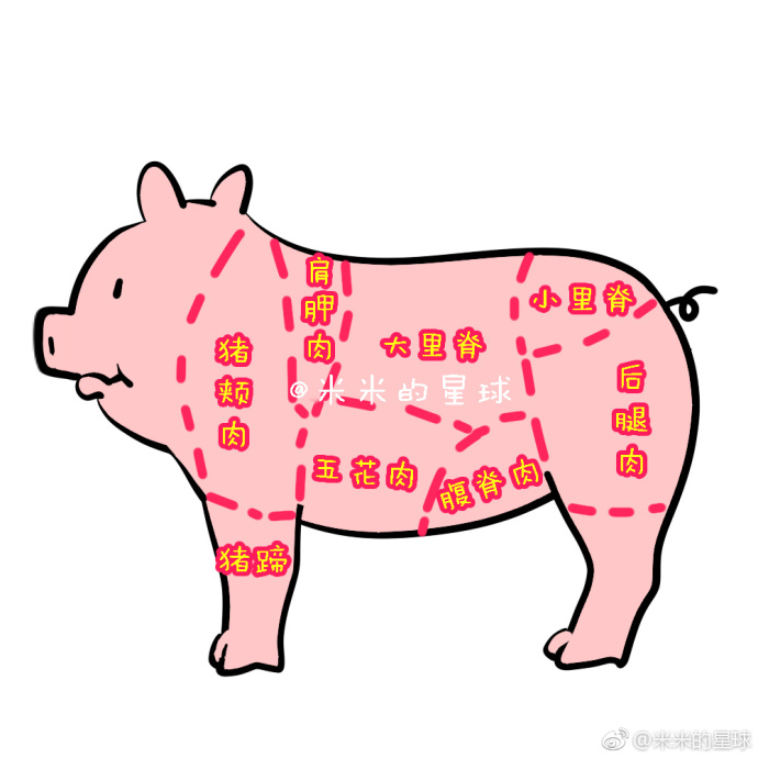 叉烧饺子我们吃的各种猪肉制品到底是猪的哪个部分呢