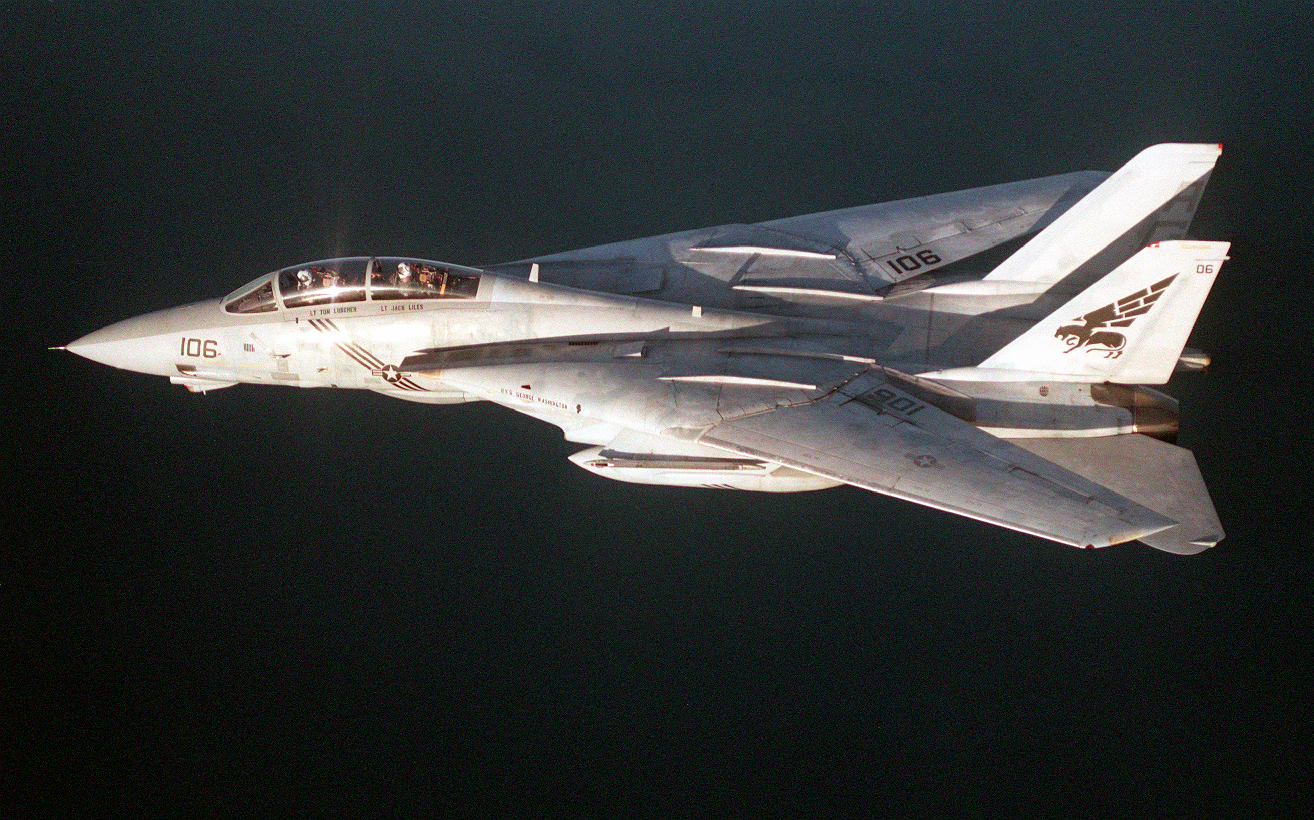 f-14大猫美图
