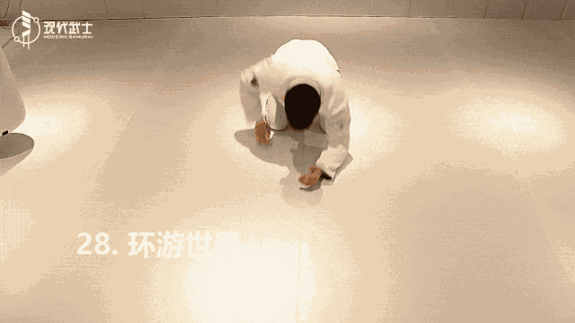 巴西柔术基本功36式gif