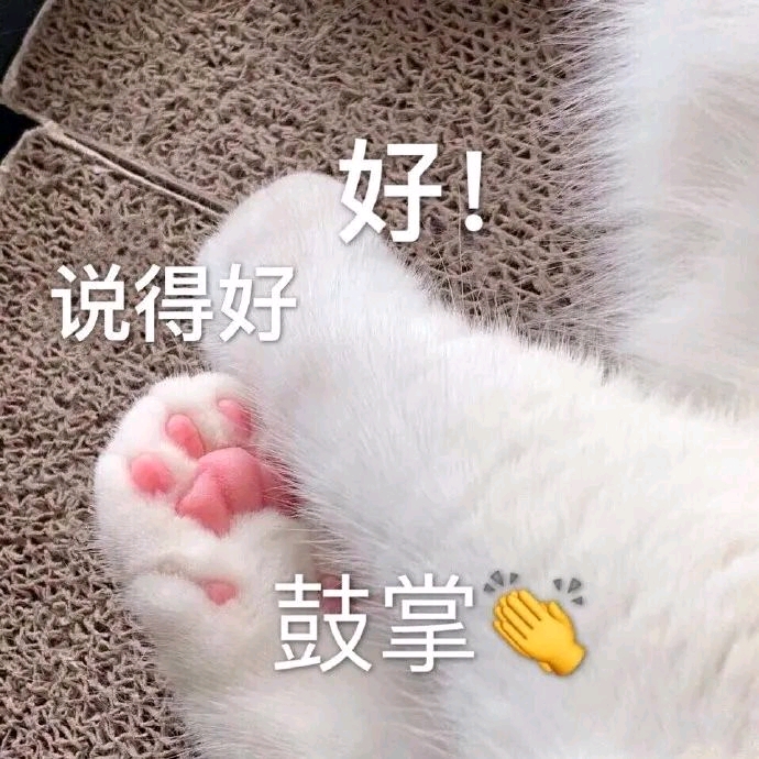 猫猫的表情包