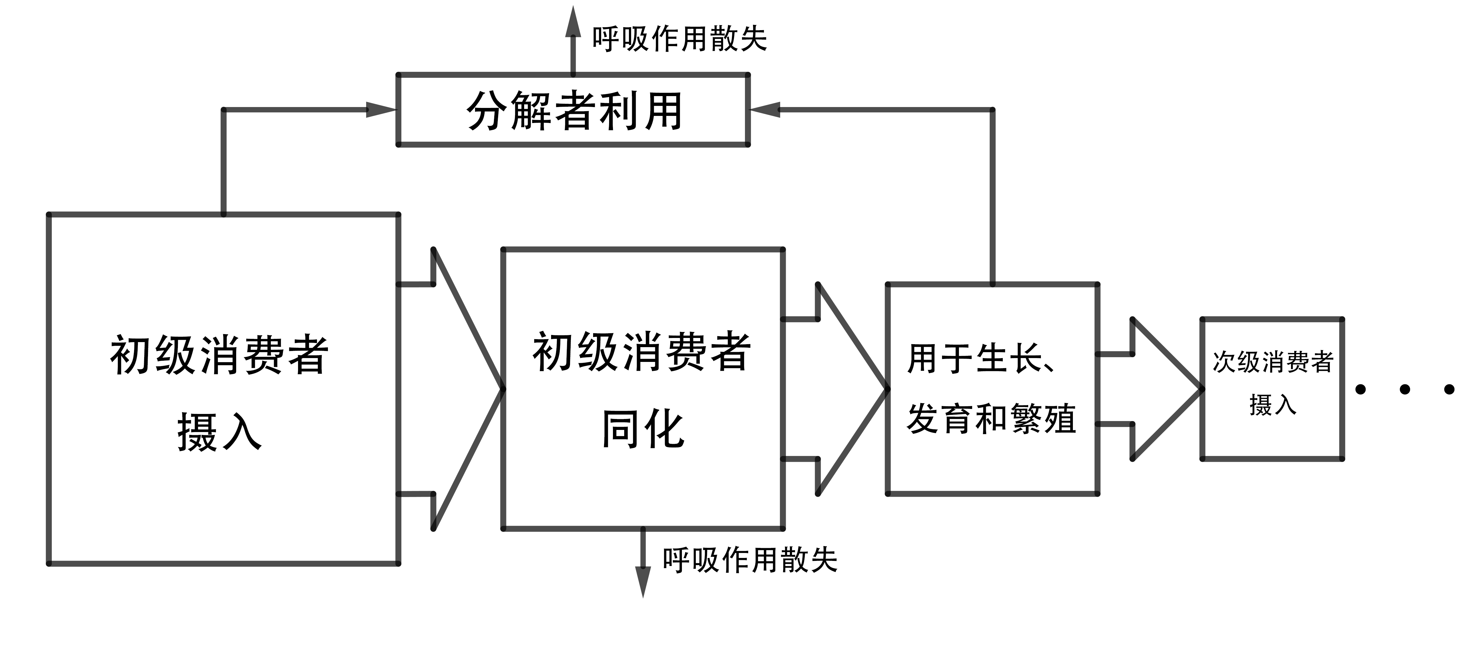 高中生物必修三重要流程示意图