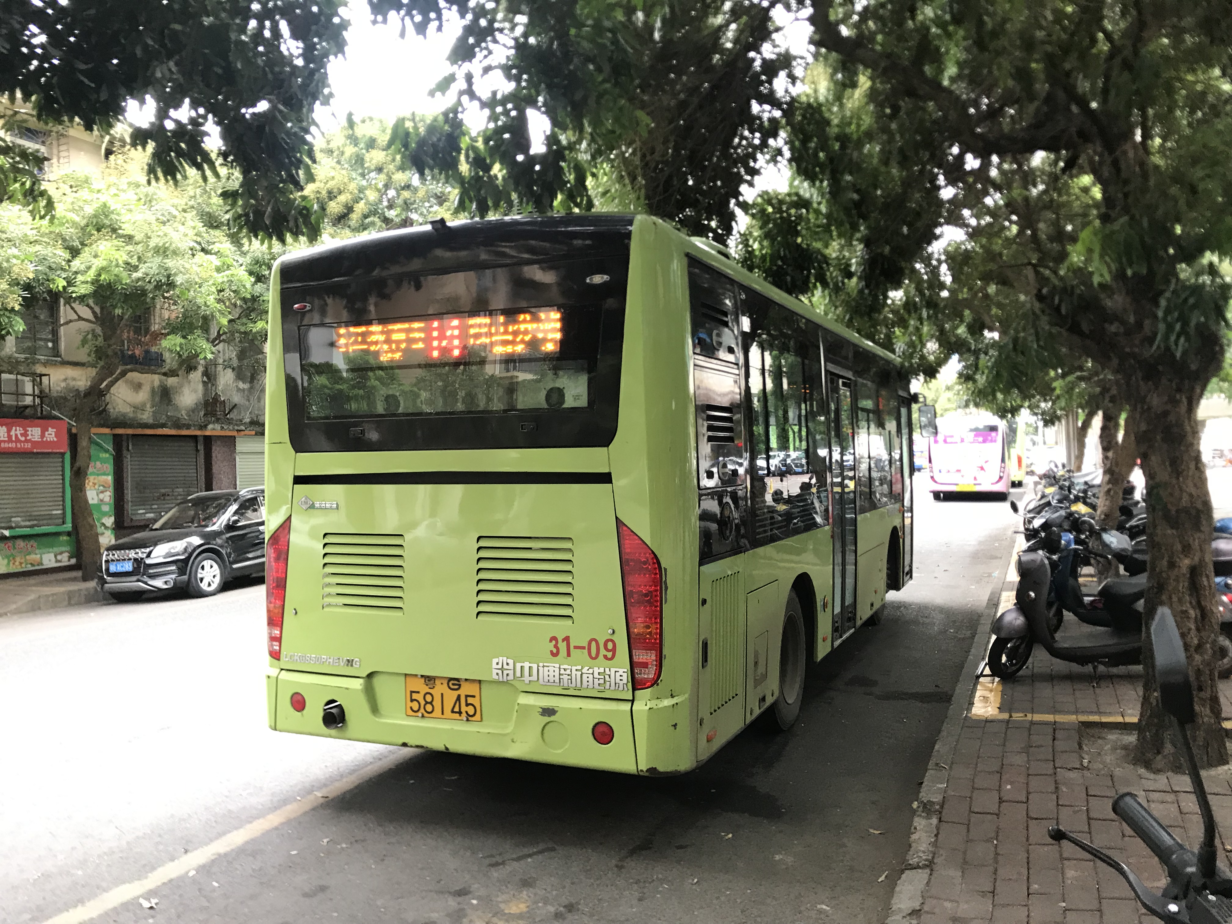 湛江市区现役公交车合集