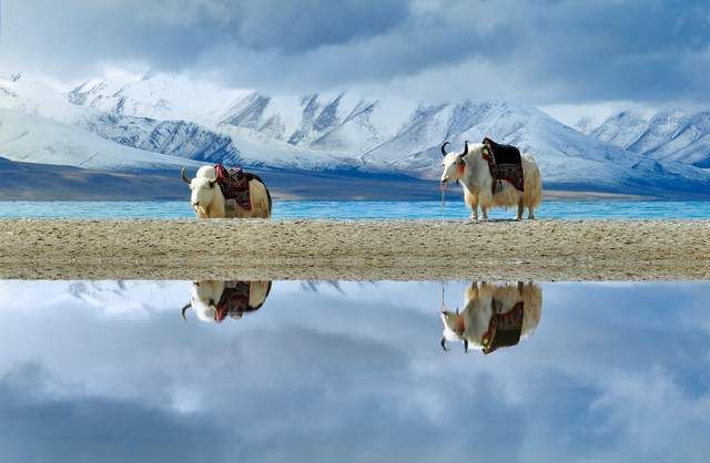 西藏旅游景点—游遍中国