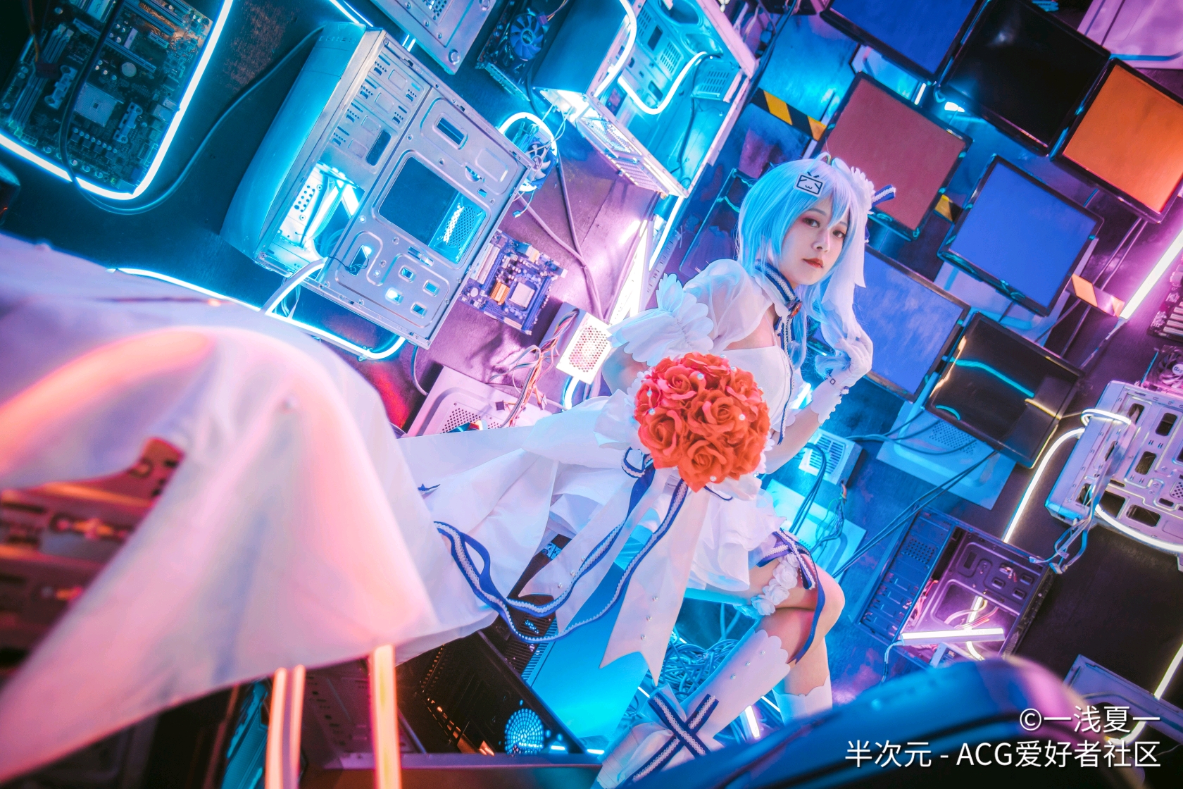 cos◆【b站10周年2233纯白之爱花嫁】