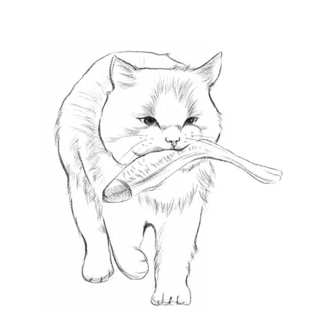 小鱼干