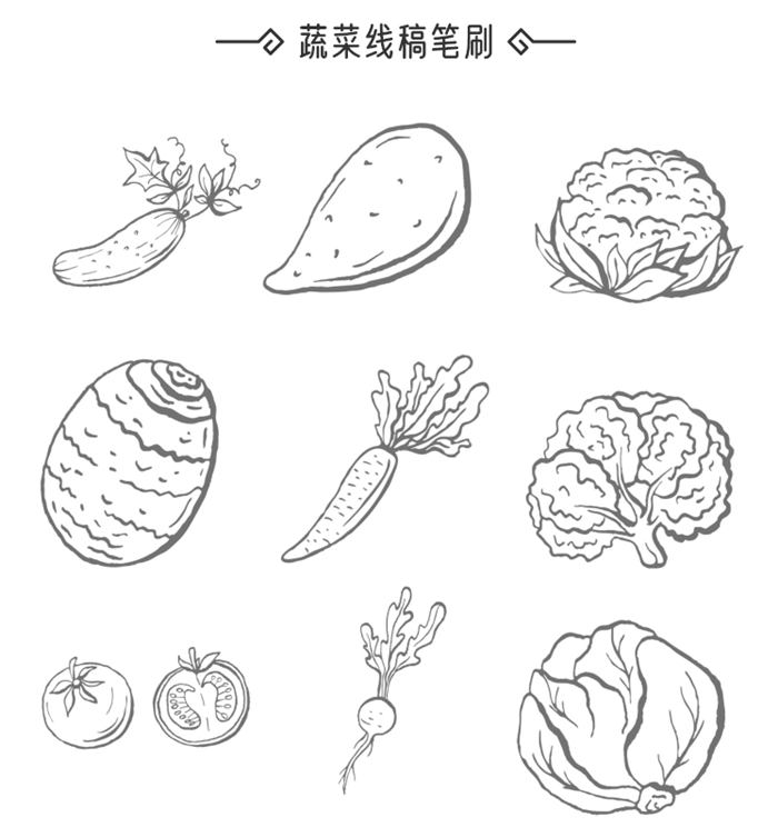 ps笔刷procreate笔刷 美食面包水果蔬菜食物素描绘画辅助线线稿